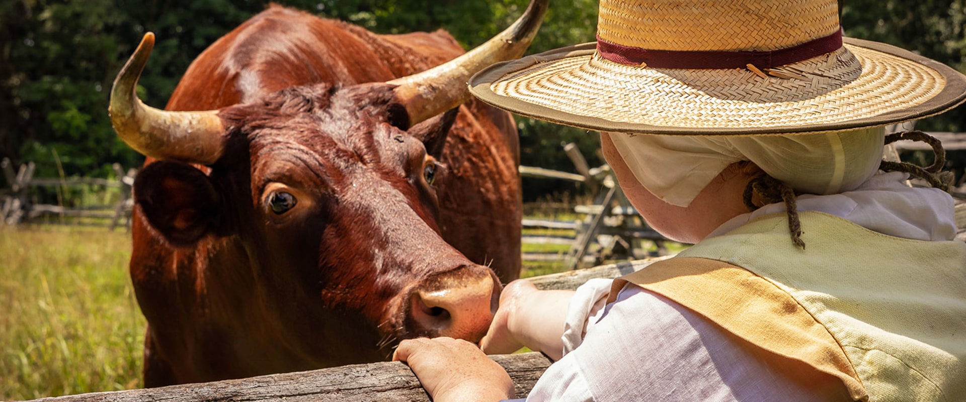 The Mouth-Watering Traditions of Southern Maryland Community Celebrations